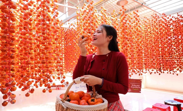 song ao tai vuon hong treo gio